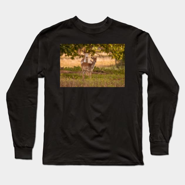 Fallow deer in autumn Long Sleeve T-Shirt by AYatesPhoto